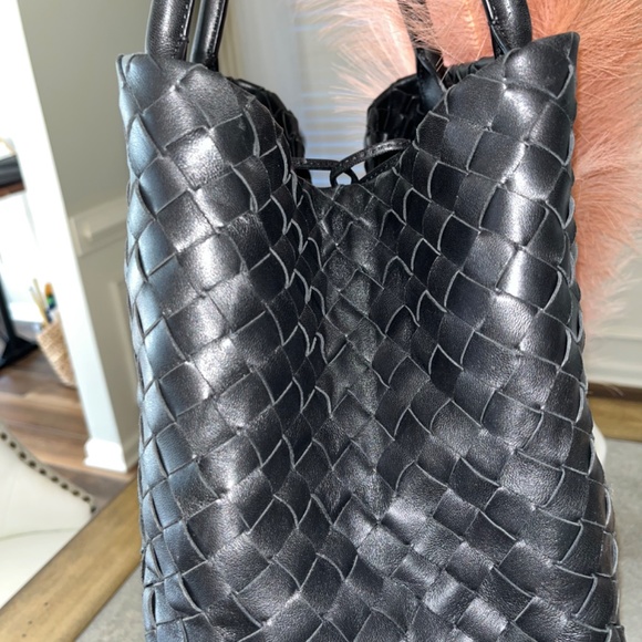 Black Beauty - Picture 8 of 10